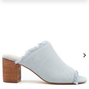 Charles by Charles David mule